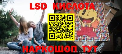 прущие грибы Боровичи